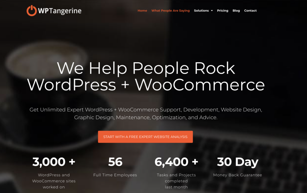 WP Tangerine-wordpress-maintenance-services